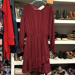 Swiss Dot Burgundy ruffled long sleeve midi dress